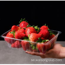 Ventilerad plast färsk blåbär fruktbehållare